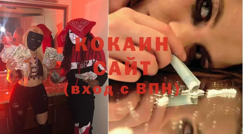 где можно купить   Волгореченск  Cocaine FishScale 